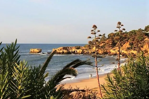 Sunny Apartment Close To The Beach Albufeira